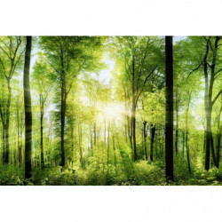 UNDERGROWTH IN THE MORNING Poster UNDERGROWTH IN THE MORNING Poster
